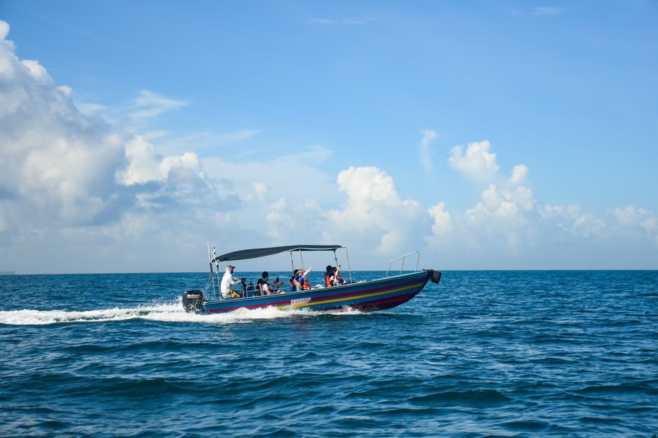 微信图片_20241029113517