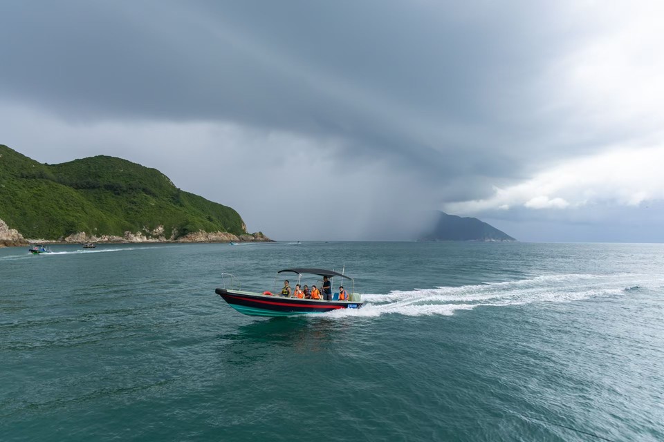 微信图片_20241029113528