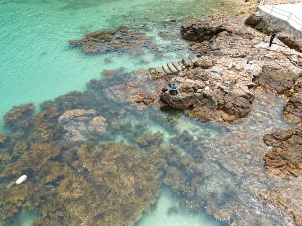 微信图片_20241029113529