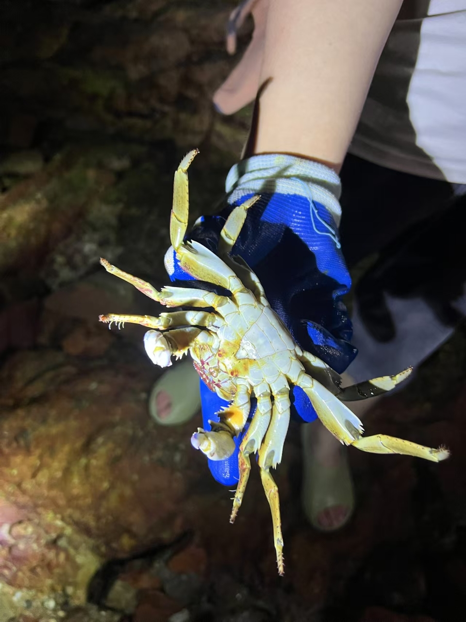 微信图片_20241029113530