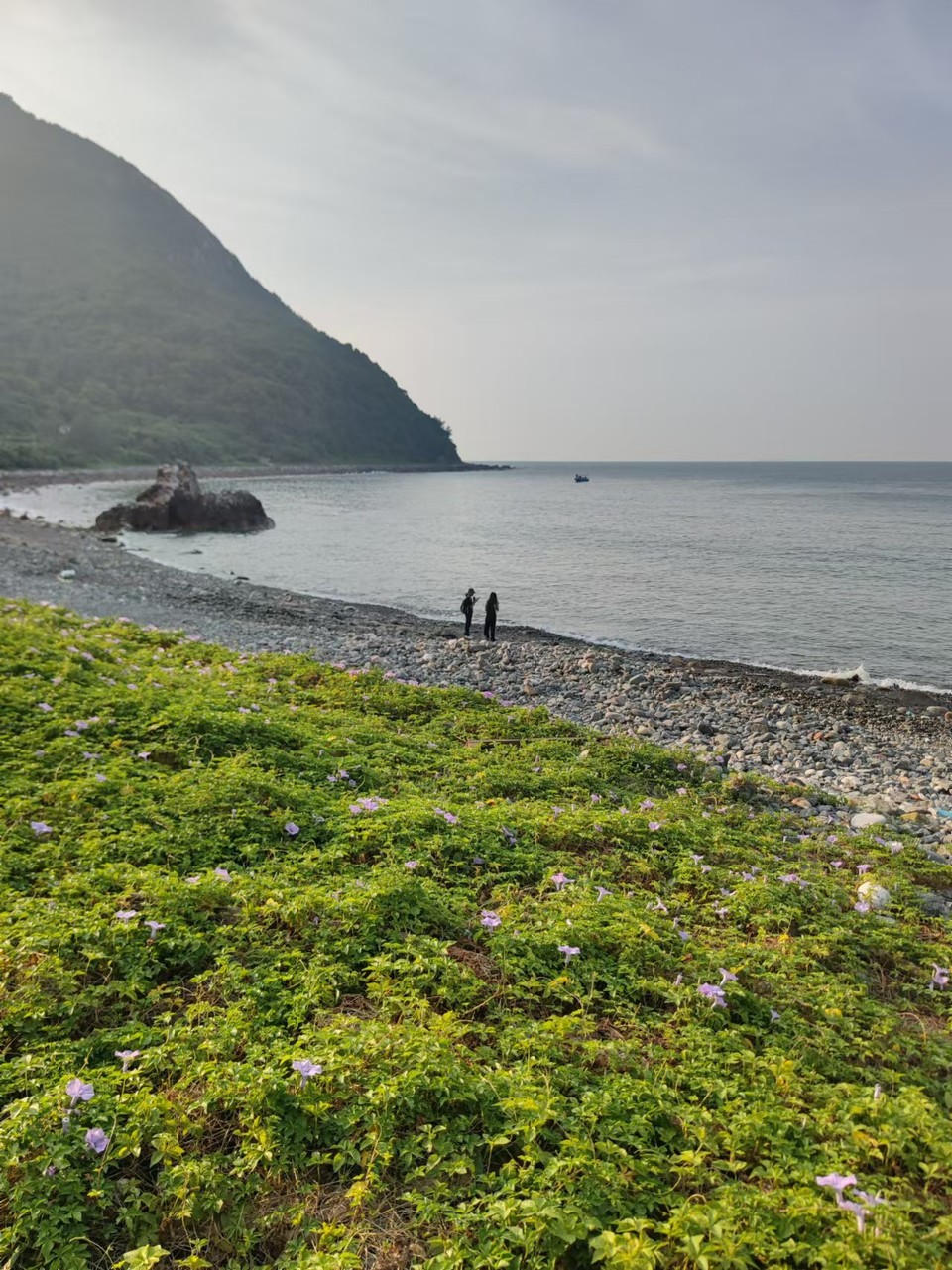 微信图片_20241029113537