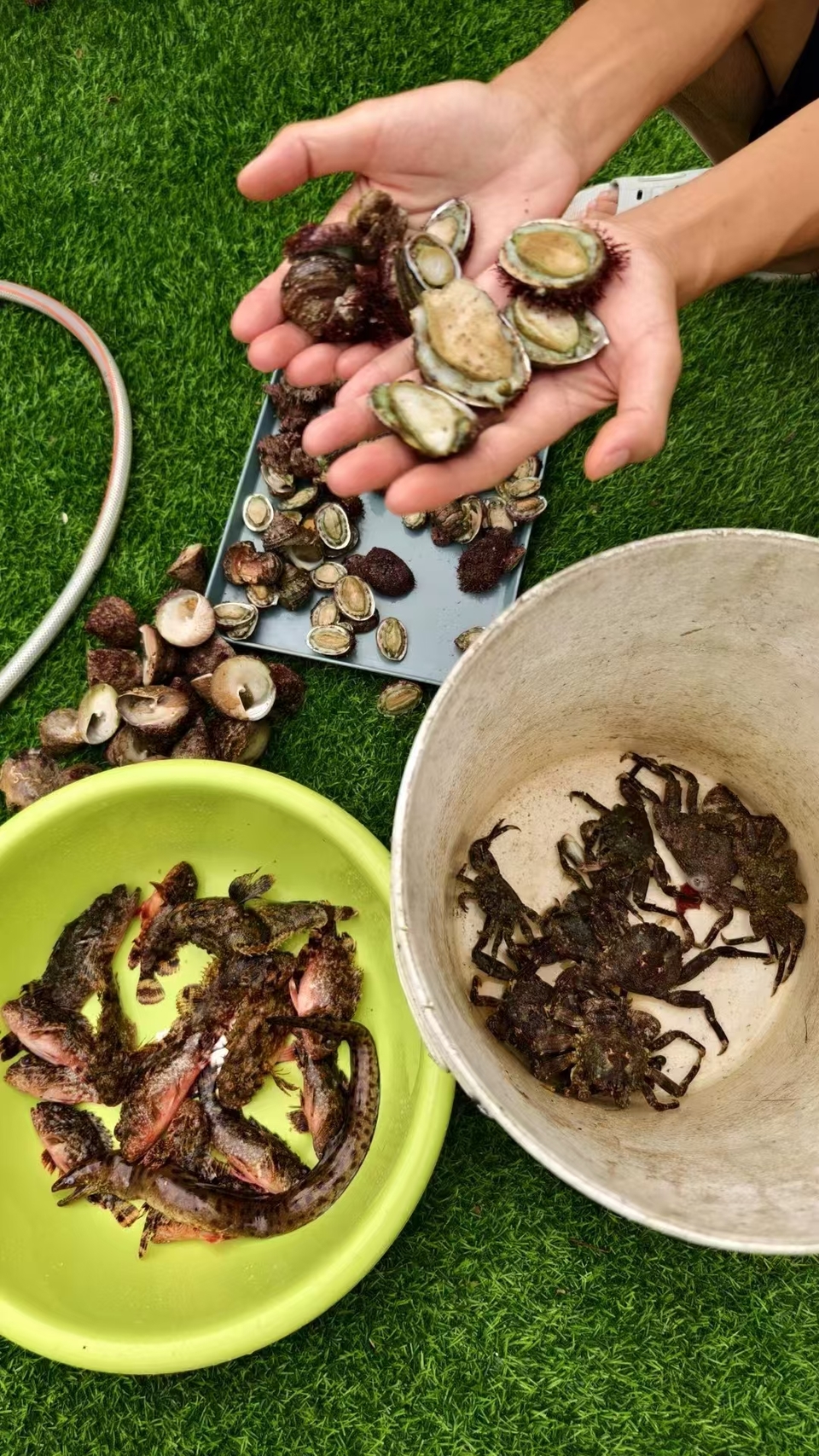 微信图片_20241029113538