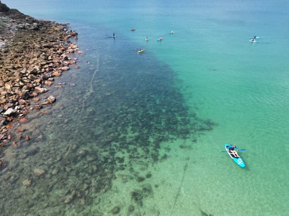 微信图片_20241029113547