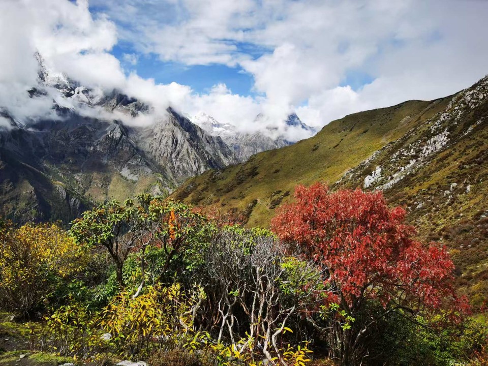 微信图片_20241029115622