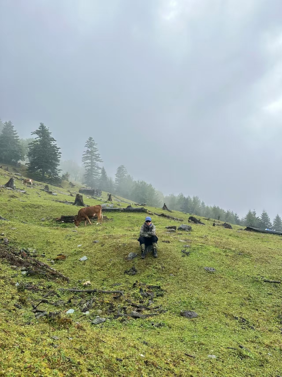 微信图片_20241029120722 - 副本