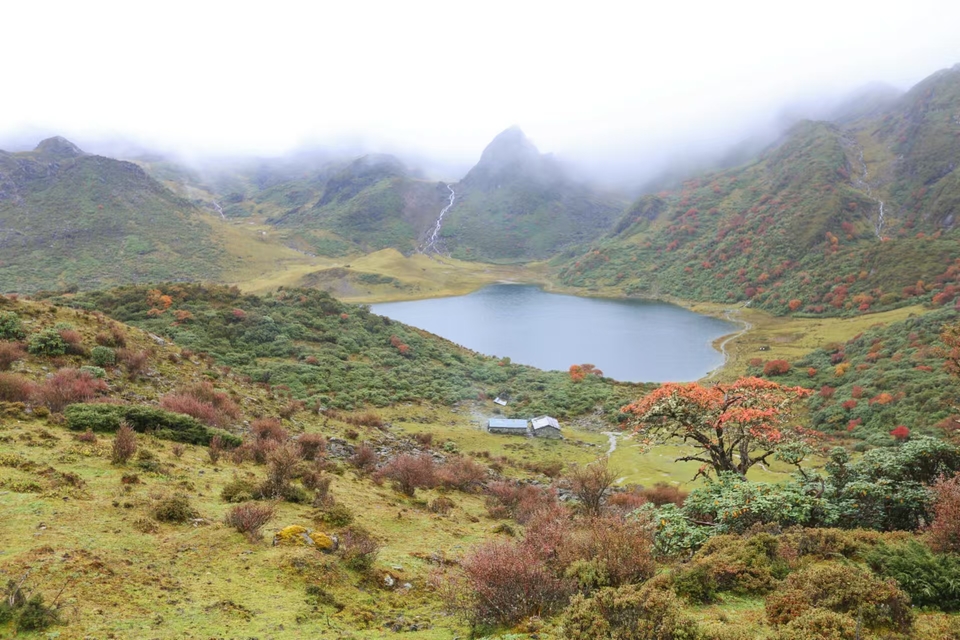 微信图片_20241029120724 - 副本