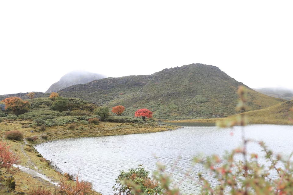 微信图片_20241029120725