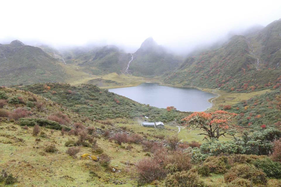 微信图片_20241029120727