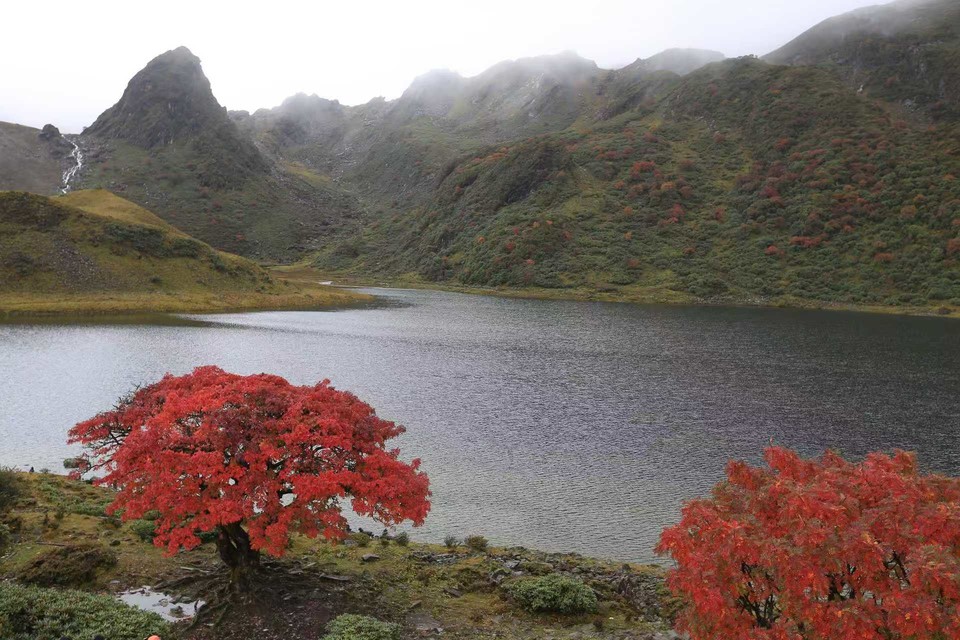 微信图片_20241029120728