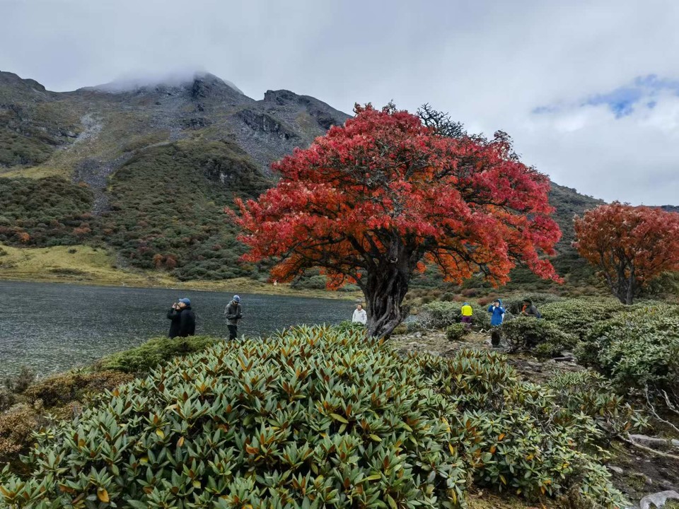 微信图片_20241029120729