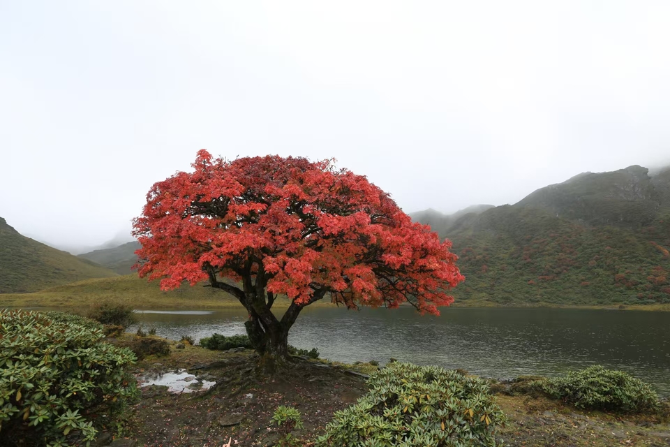 微信图片_202410291207261 - 副本