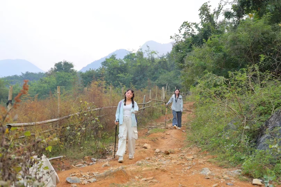 微信图片_20241029121729