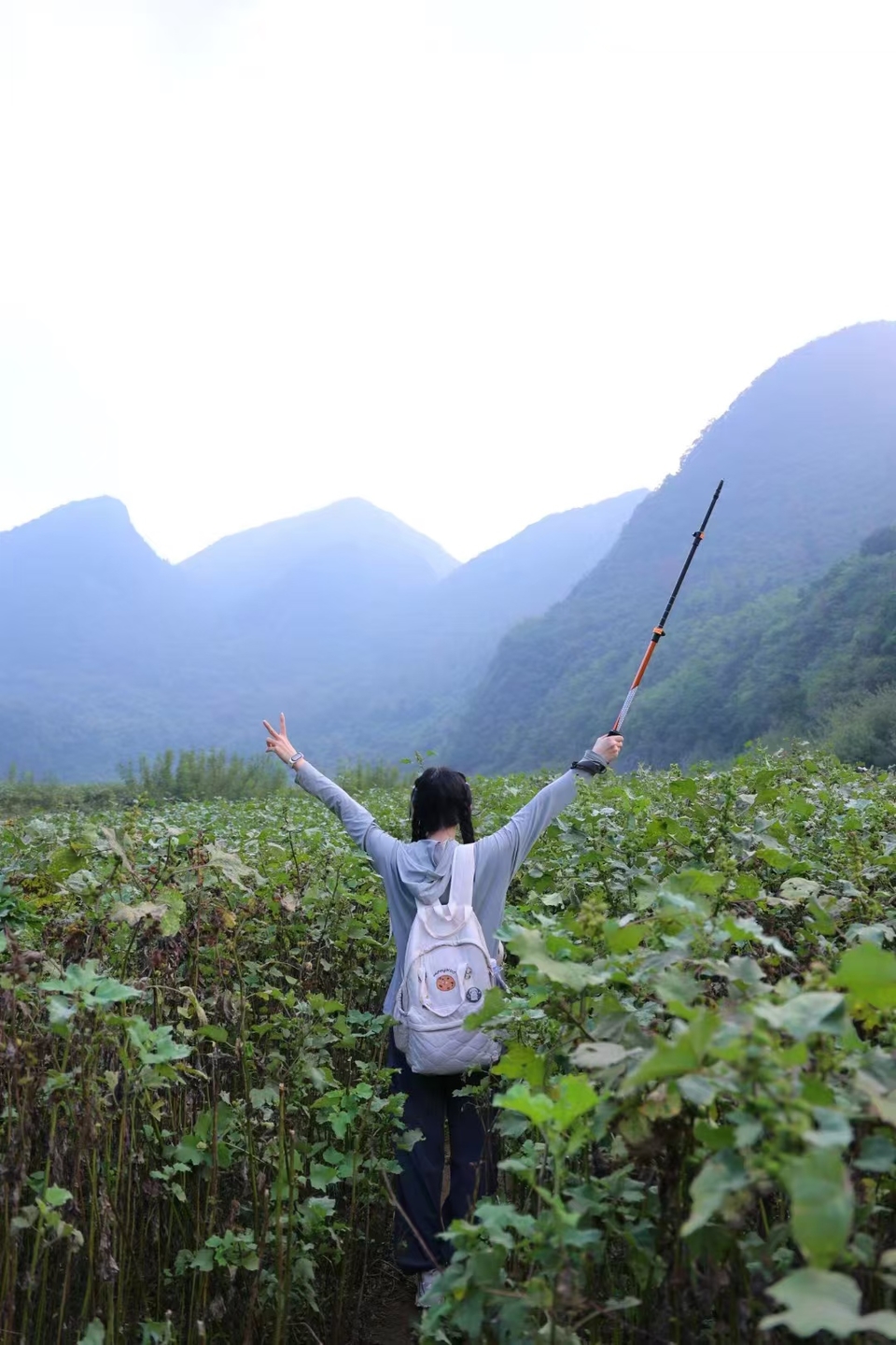 微信图片_20241029121730