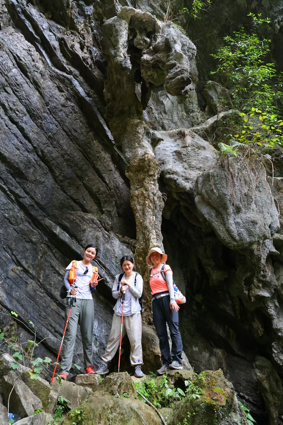 微信图片_20241029121731