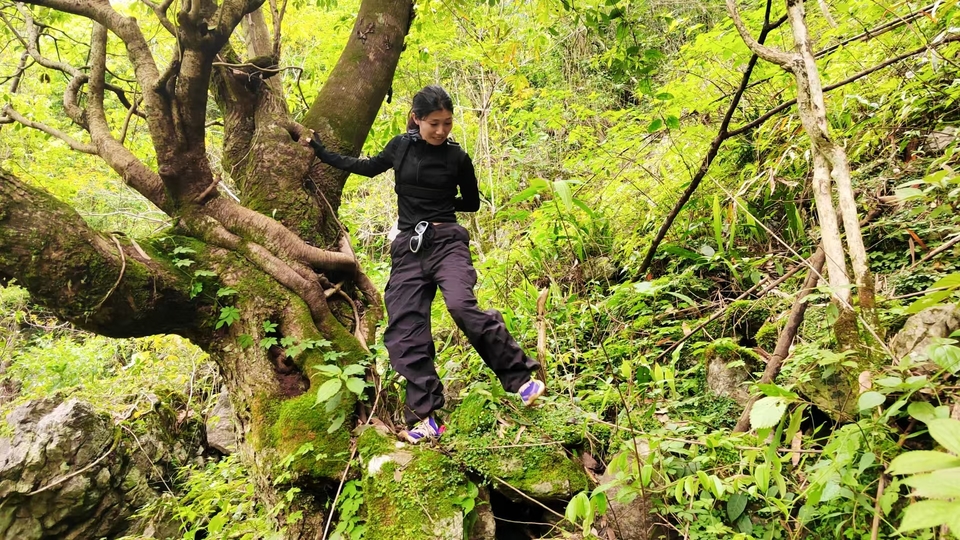 微信图片_20241029121733