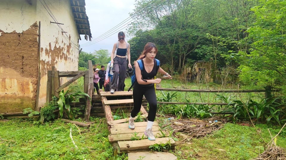 微信图片_20241029121736