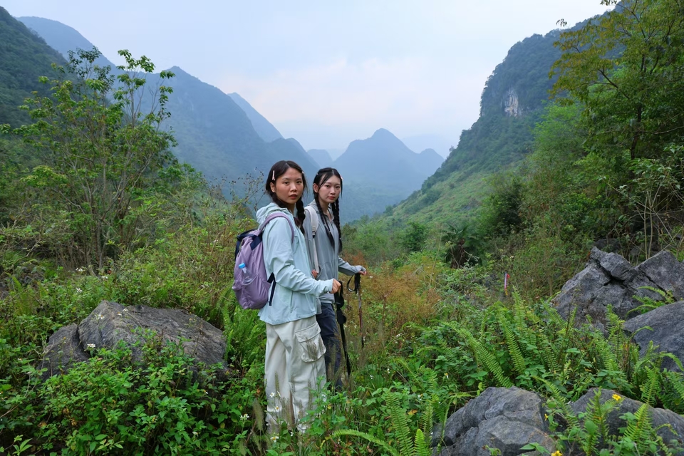 微信图片_202410291217311