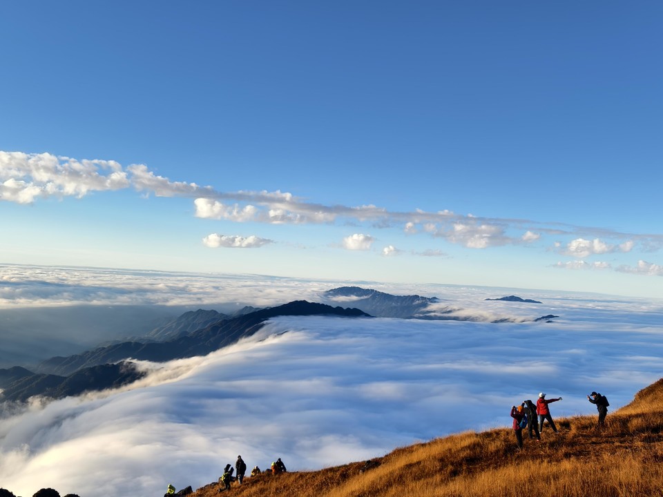 微信图片_20241105113651