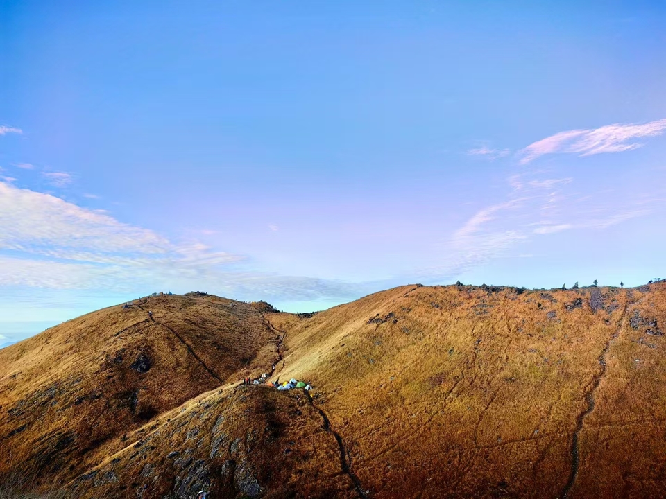 微信图片_20241105150751