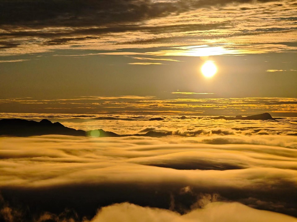 微信图片_20241105150754