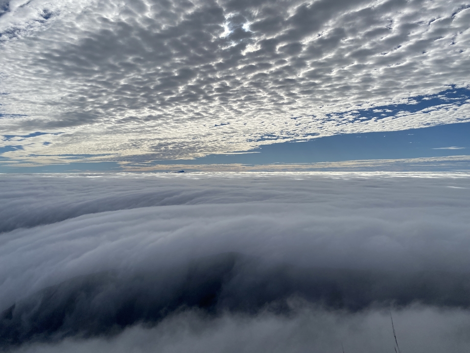 微信图片_20241105150756