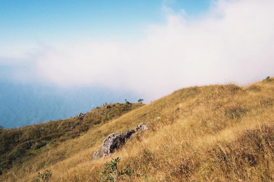 微信图片_20241105150759