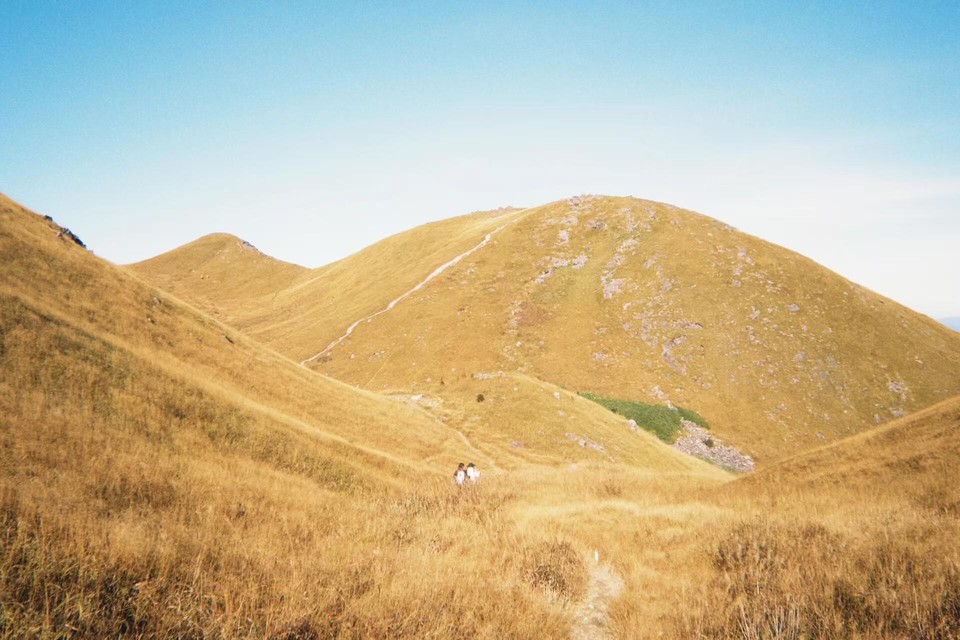 微信图片_20241105150800