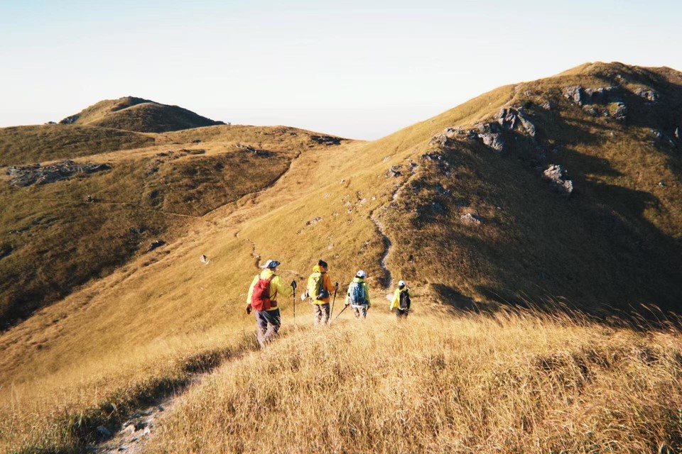 微信图片_20241105150801