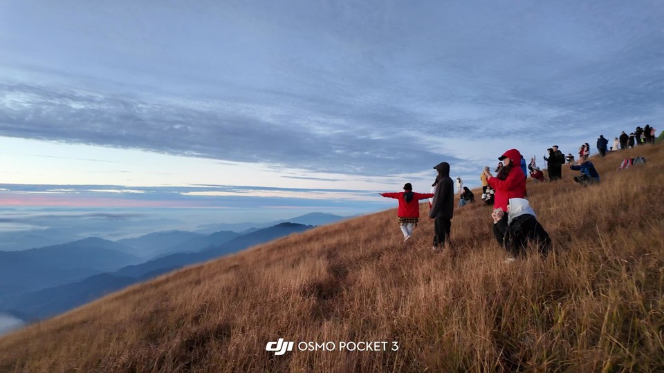 微信图片_20241105150804