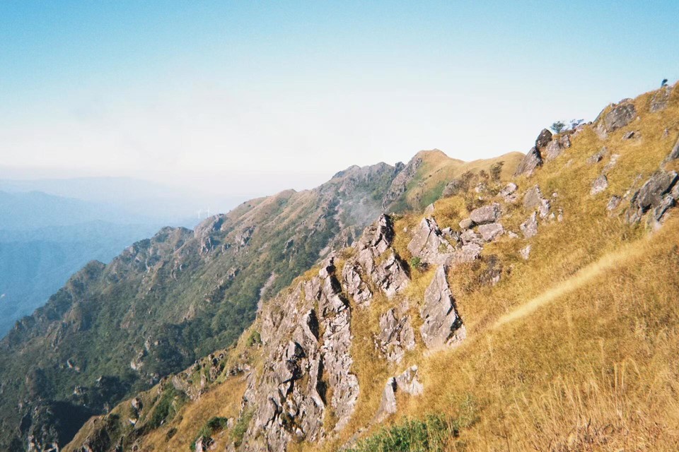 微信图片_202411051508021