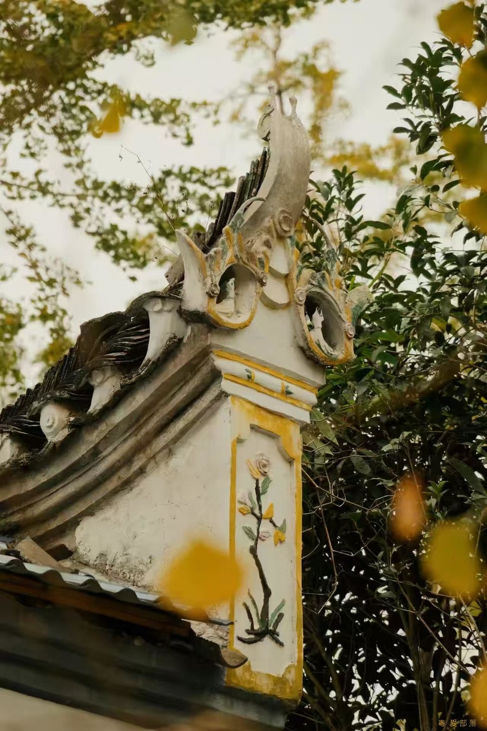 微信图片_20241127174245