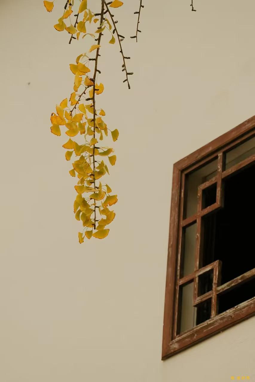 微信图片_20241127174246