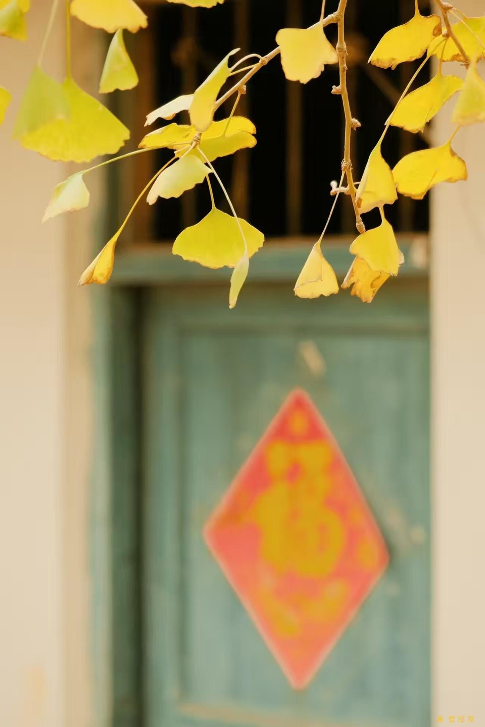 微信图片_20241127174247