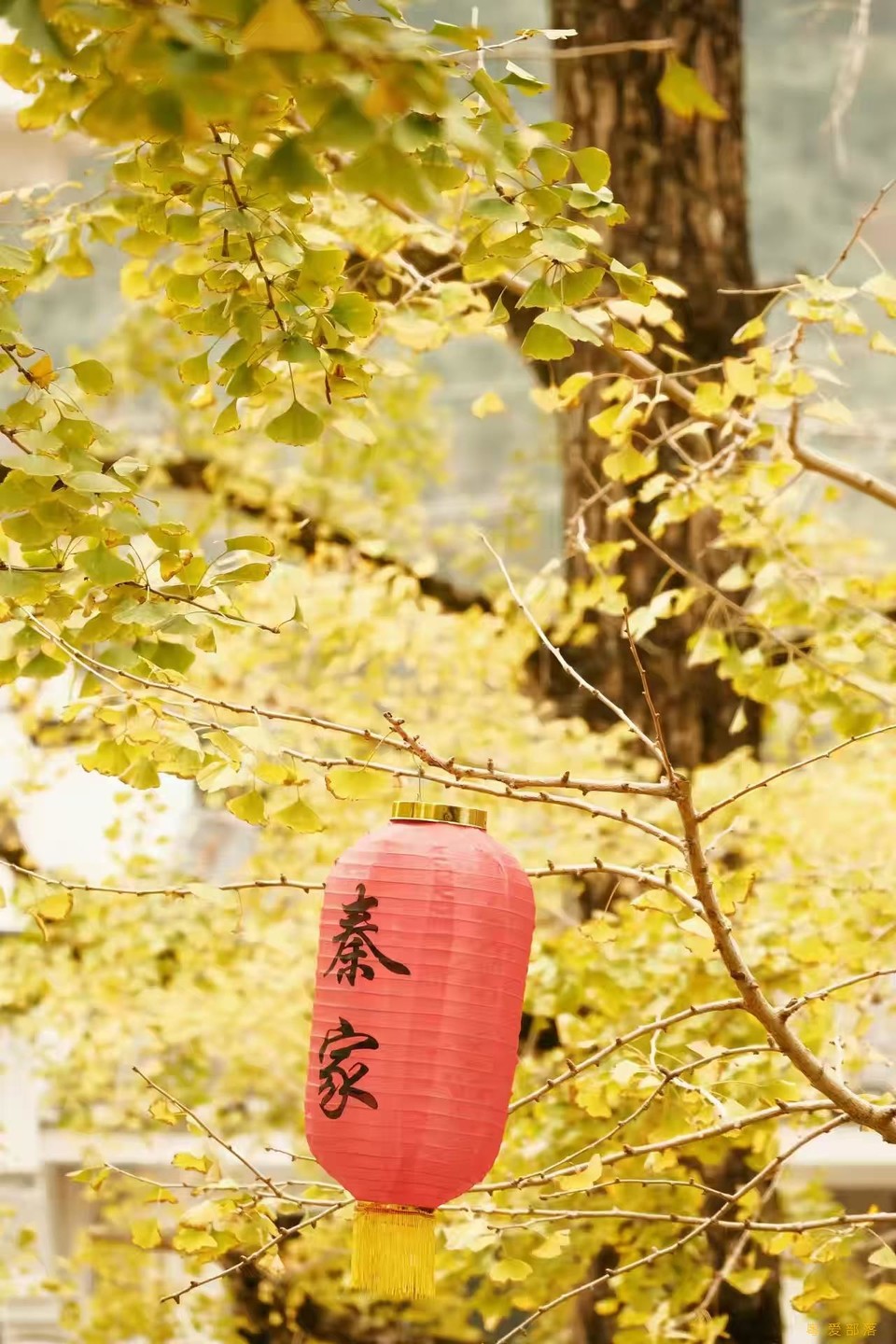 微信图片_20241127174248