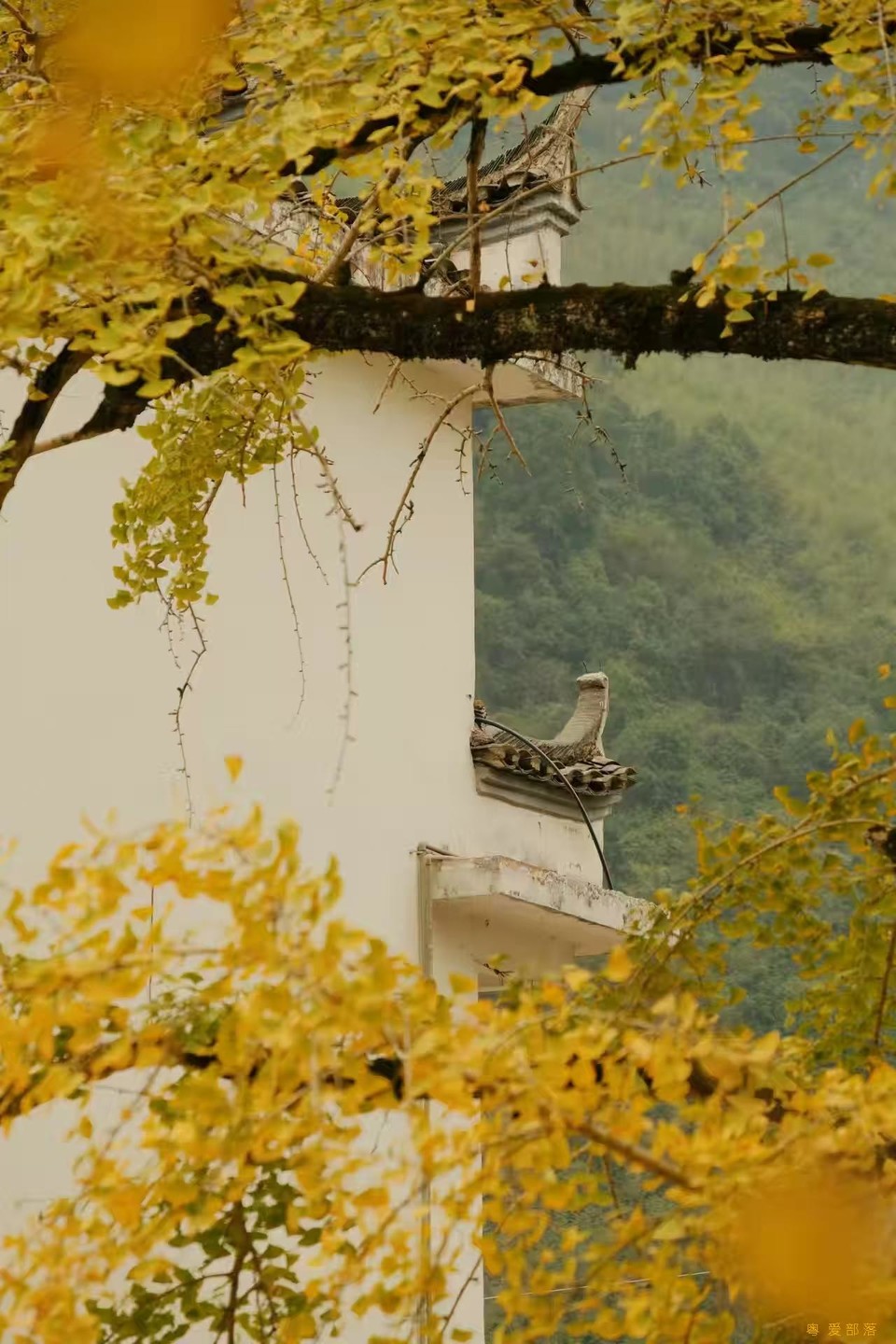 微信图片_20241127174250