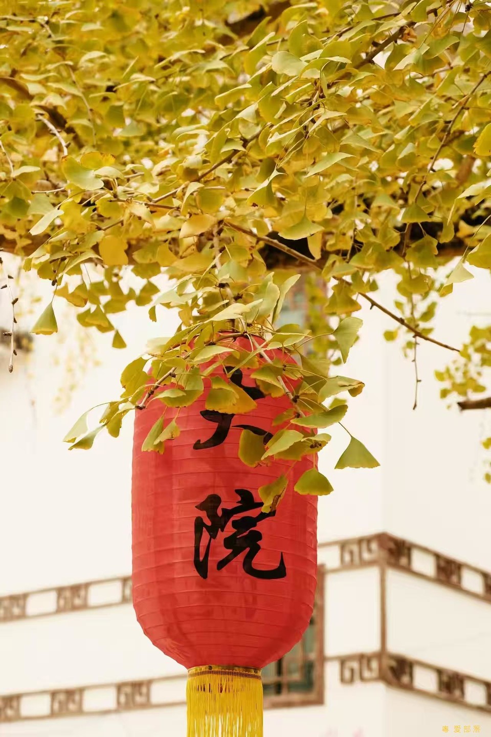 微信图片_20241127174251