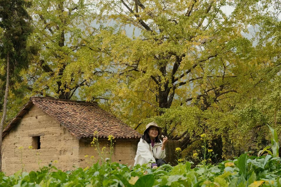 微信图片_20241127174254