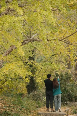 微信图片_20241127174255