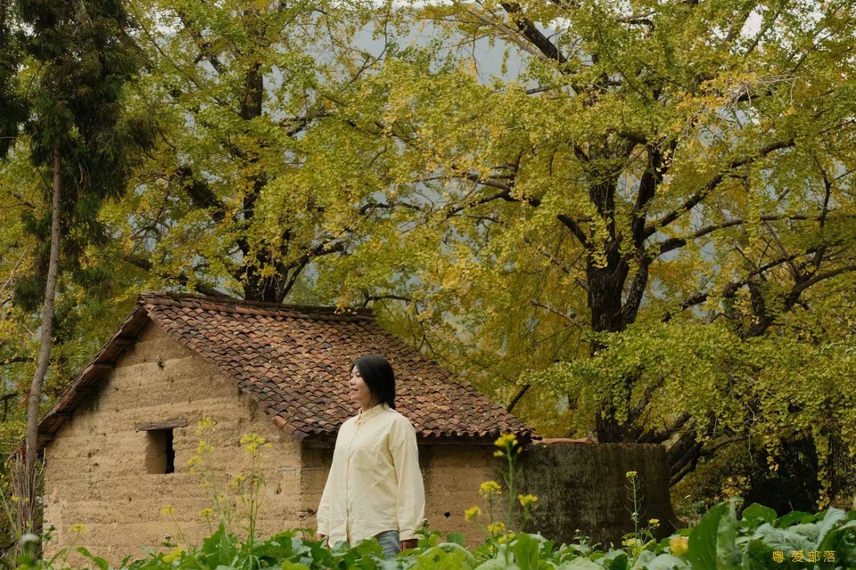 微信图片_20241127174256