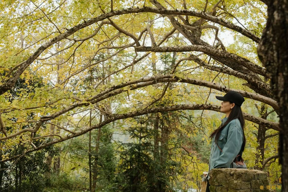 微信图片_20241127174258