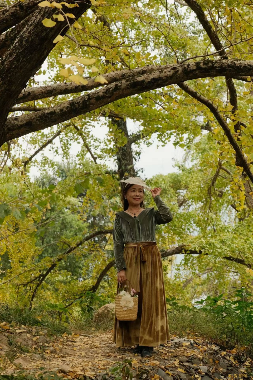 微信图片_20241127174259