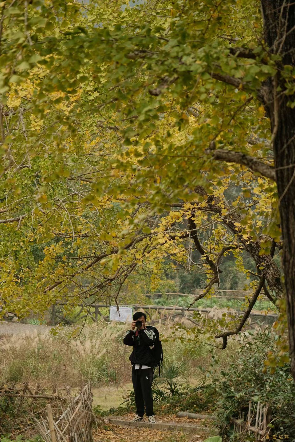 微信图片_20241127174300