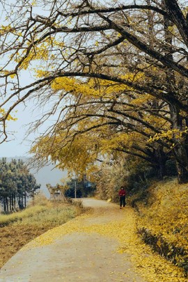 微信图片_20241127174301