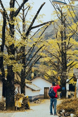 微信图片_20241127174303