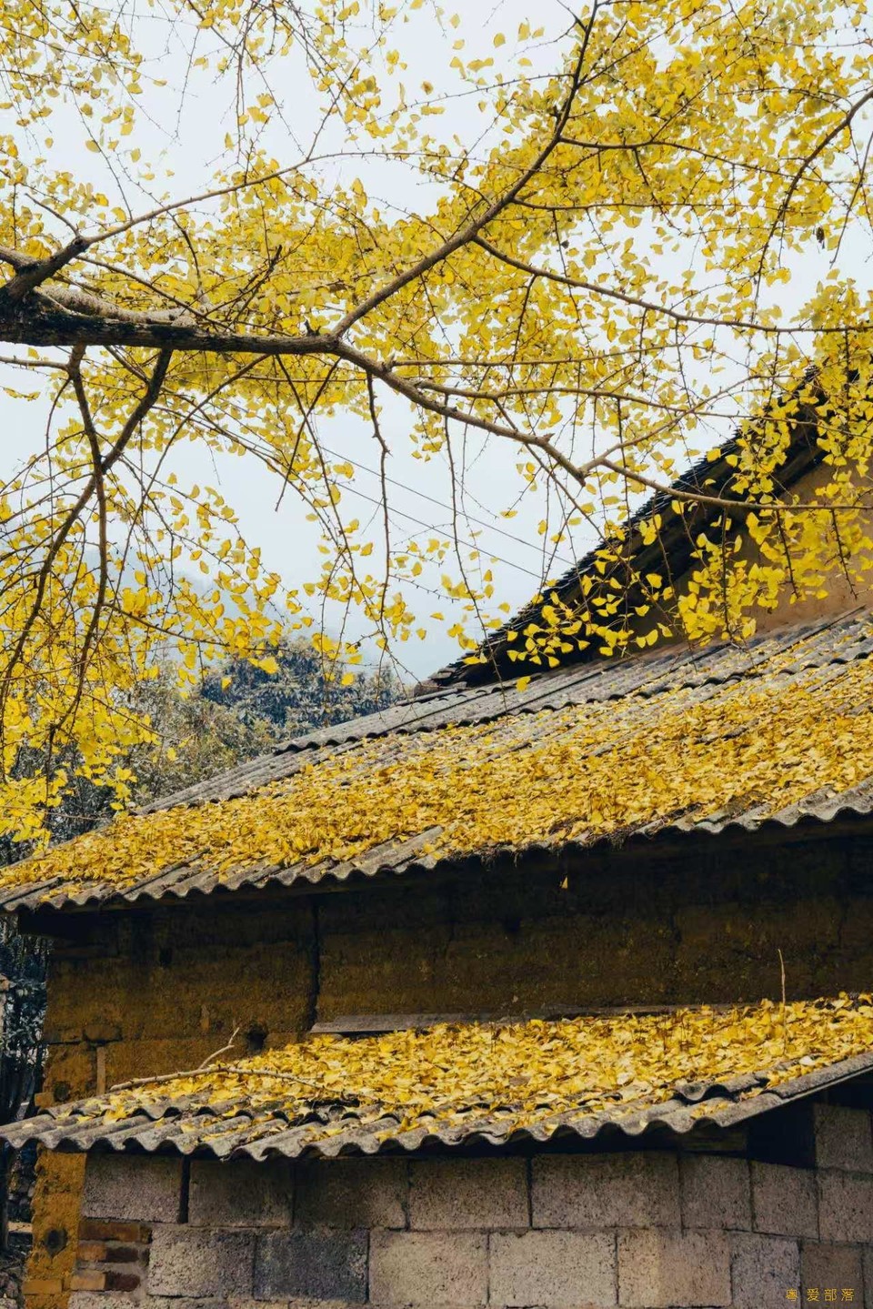 微信图片_20241127174304