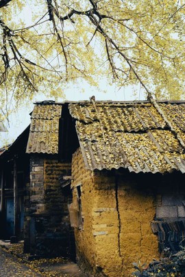 微信图片_20241127174305