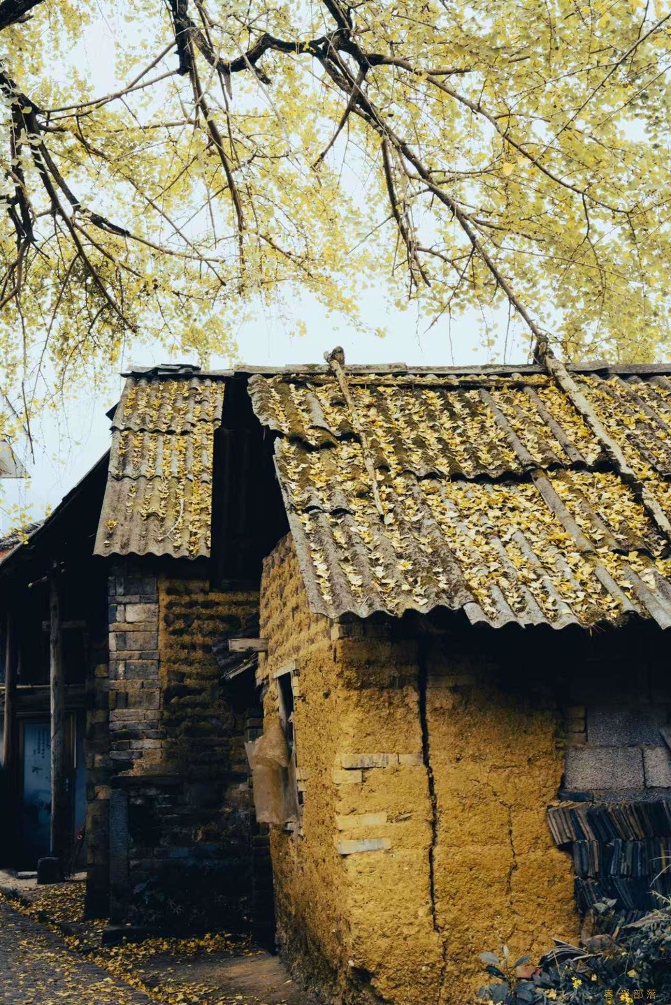 微信图片_20241127174305