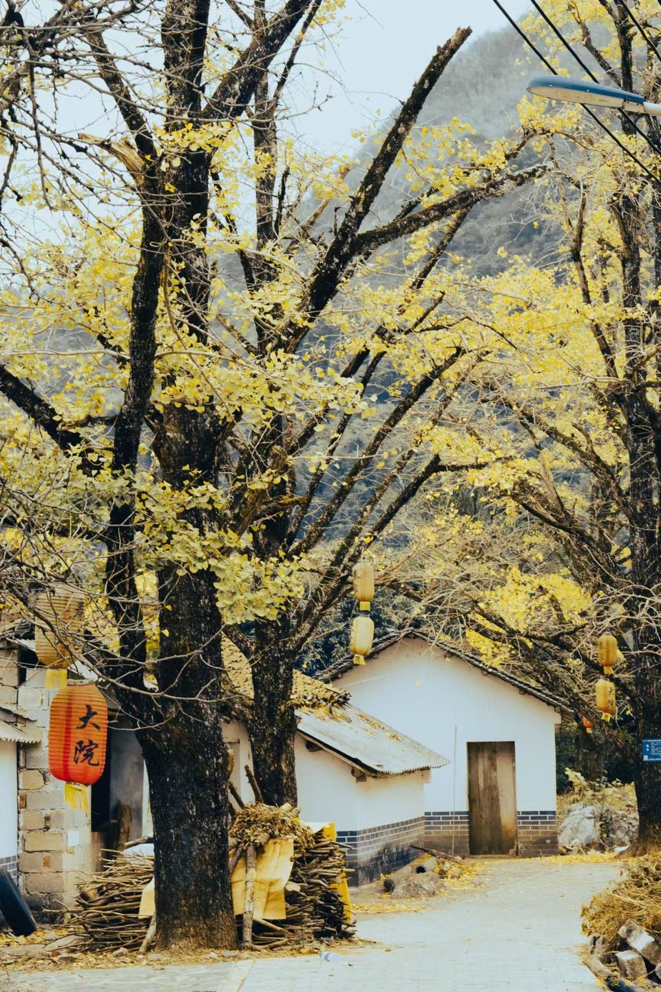 微信图片_20241127174306