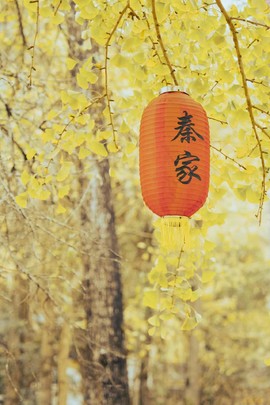 微信图片_20241127174309