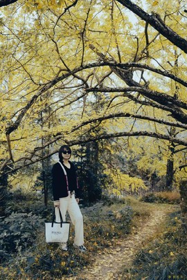 微信图片_20241127174310